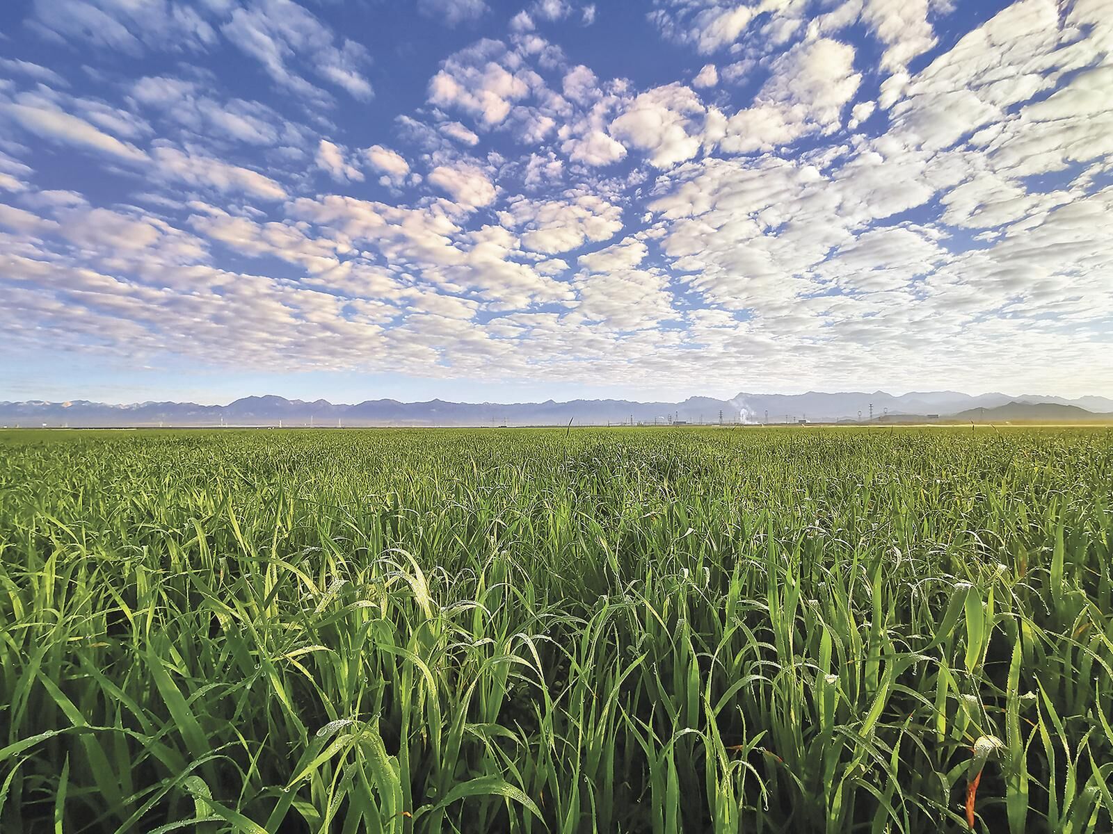 QQ�DƬ20250619055148