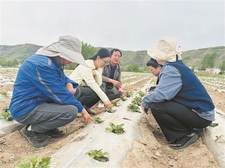 QQ�DƬ20250621061541