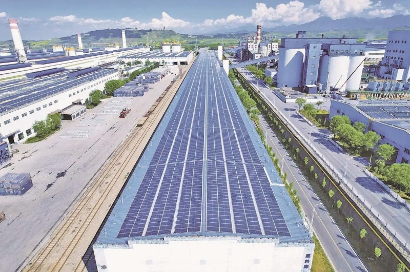 微信截圖_20250623070422