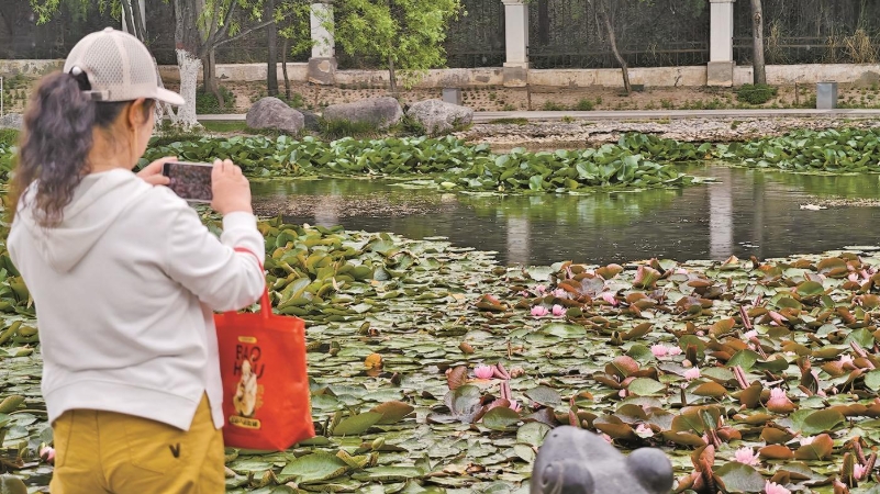 ΢�Ž؈D_20250623071507