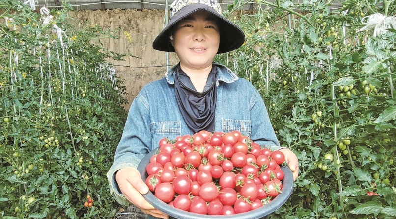 微信截圖_20250623072047