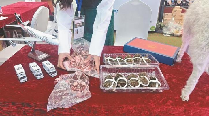 ���_�ź������Gɫ�lչ����2025��Ǣ���ؿ���չ���۽������f����Ǣ������r�㡰�����