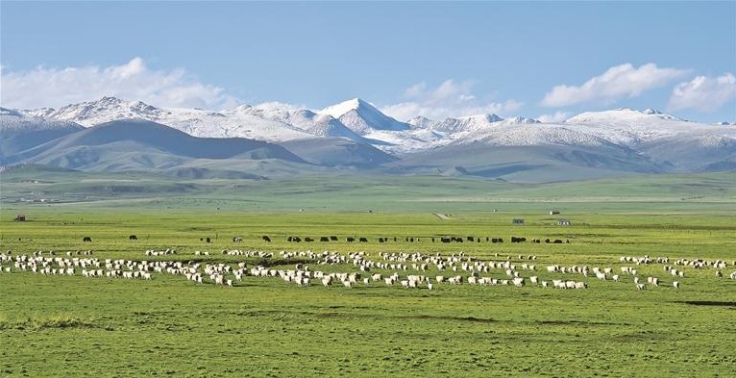 ������̖(h��o)��Ʒ��չ¶�hâ