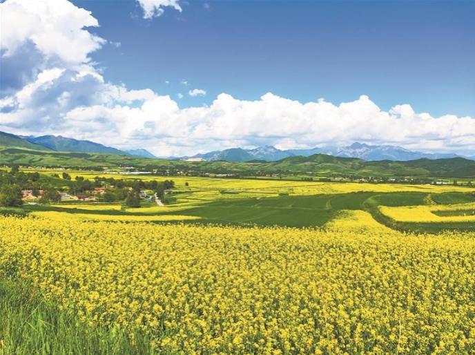 �ຣ�������Ͳ˻��_������