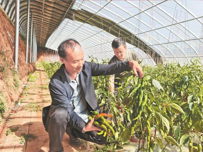 �h��tҫ���z� ���ҹ��{(di��o)����ƪ