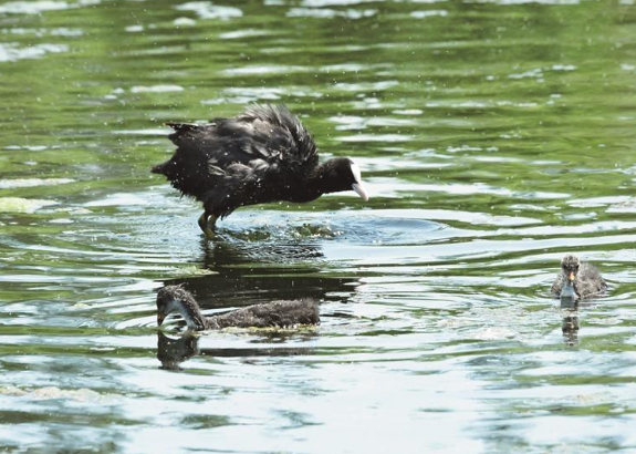 4a89015d-51f3-4346-b87e-f77513e0f39d