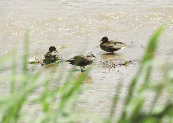 a7ddd4f8-493e-448a-b7be-9ab0537b9a27