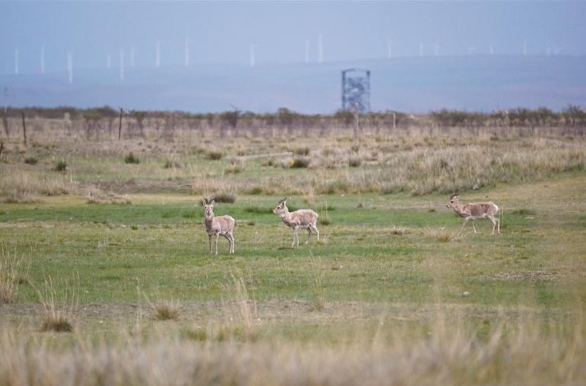 �ຣ�����ҹ��@���������~��������