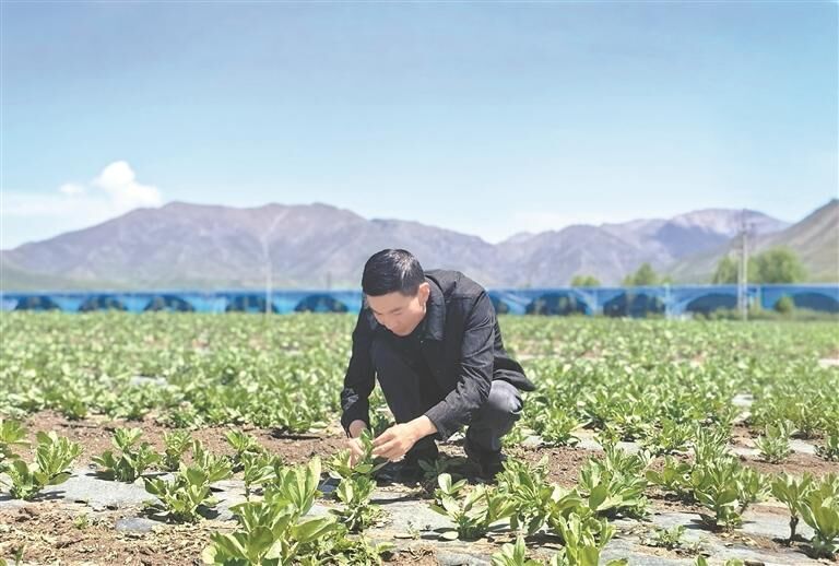 QQ�DƬ20250709053645