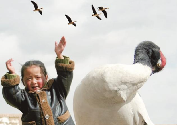 �Q��ͯ�꣺�Һͺ��i�Qһ���L(zh��ng)��