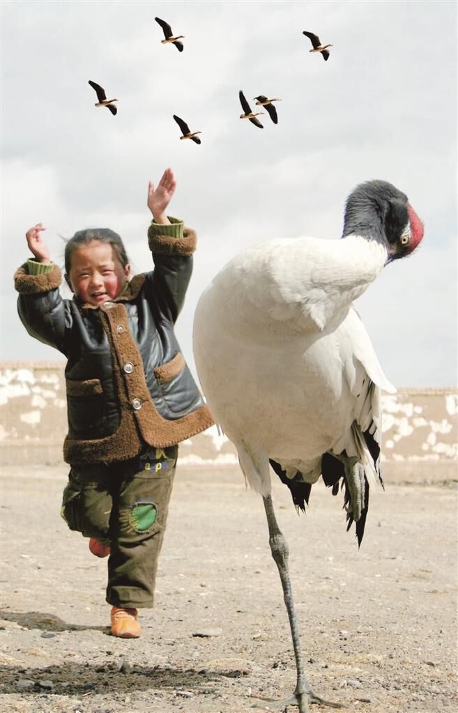 QQ�DƬ20250709063051