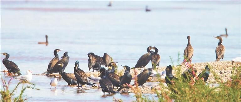 QQ�DƬ20250711061852