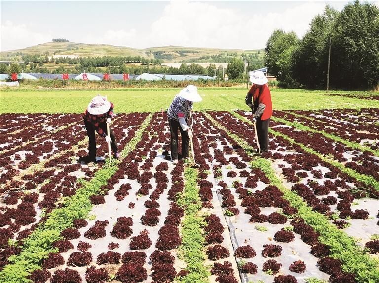 QQ�DƬ20250717063748