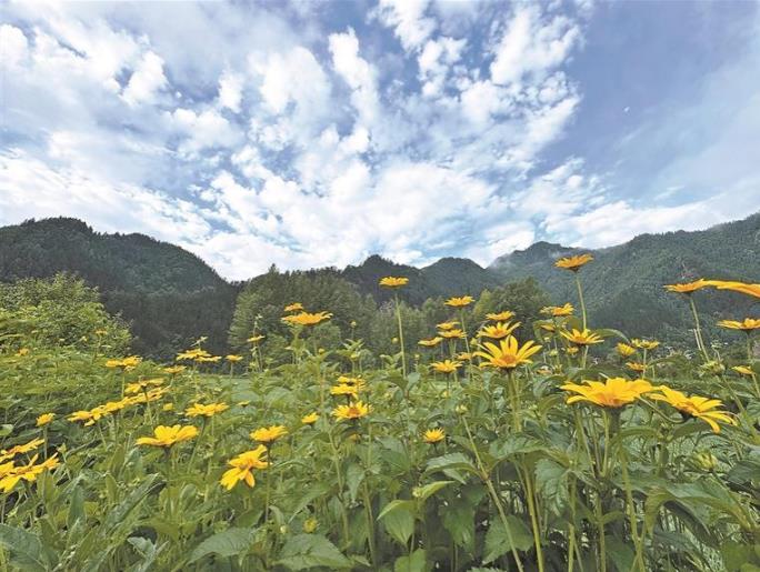 �|��퍣���ԭ��Դ�뮋��