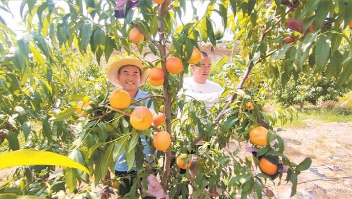 ���ҹȵ��S������