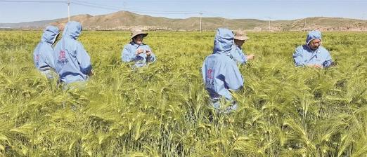 ���๲�L���d�D����������Ԯ�๤��Ƭ��