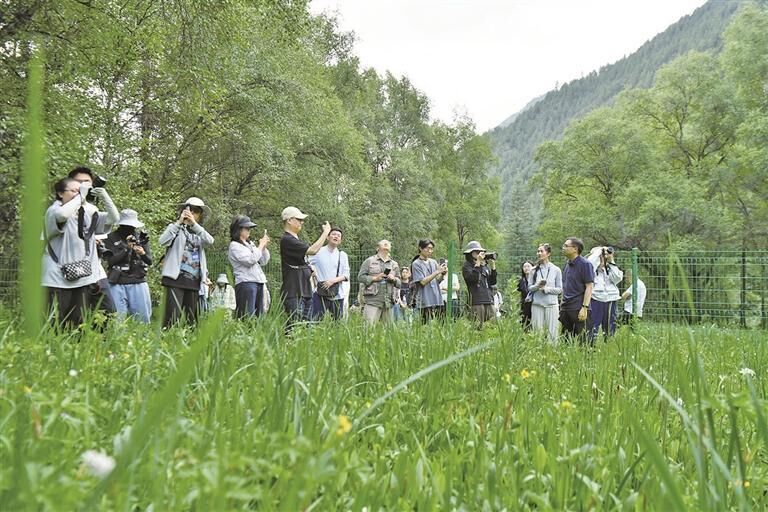 QQ�DƬ20250719063334