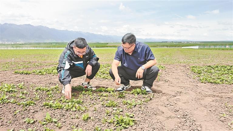 QQ�DƬ20250723054647