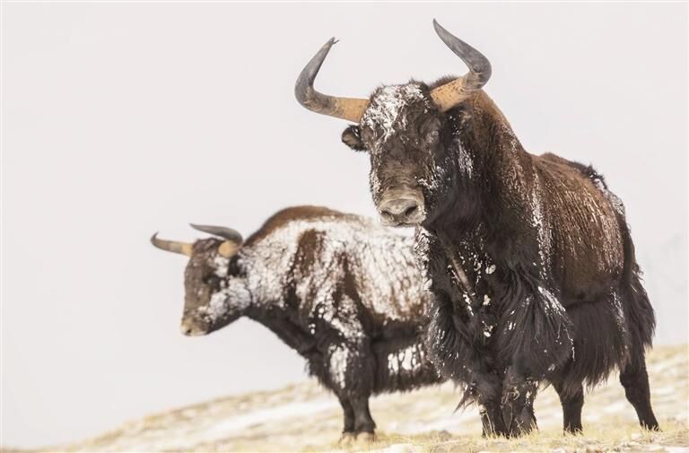 QQ�DƬ20250723065625