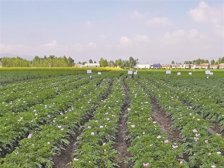 QQ�DƬ20250725063711