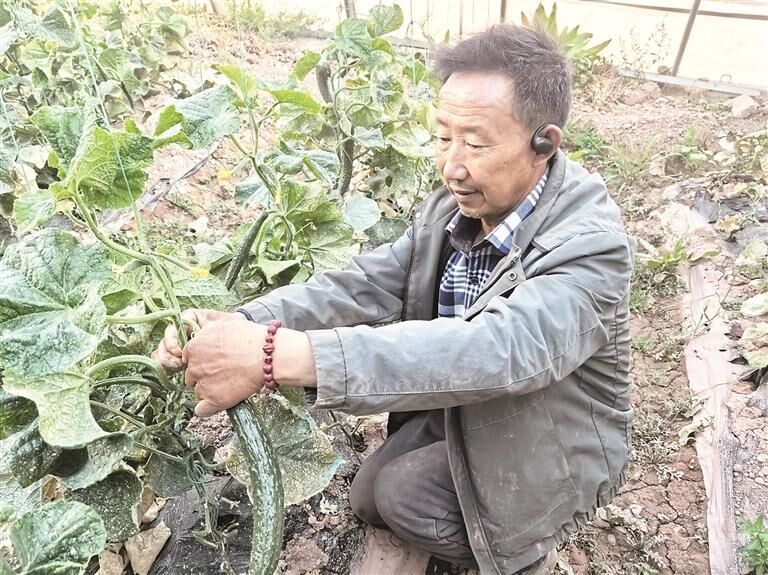 QQ�DƬ20250729061336