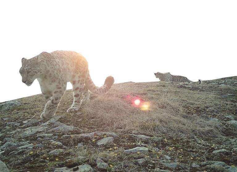 QQ�DƬ20250731061838