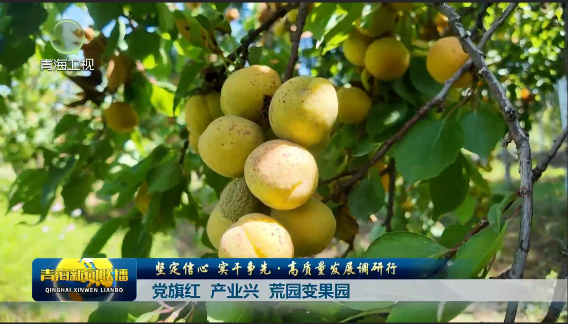 ���Զ����� ���ɠ��ȡ����|���lչ�{���С��h��t �a�I�d �Ĉ@׃���@