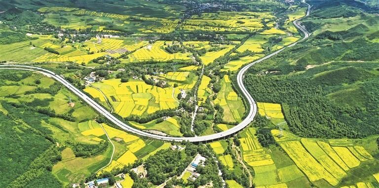 �ƶ��ຣ ����g��ֺ���{ɫ�P