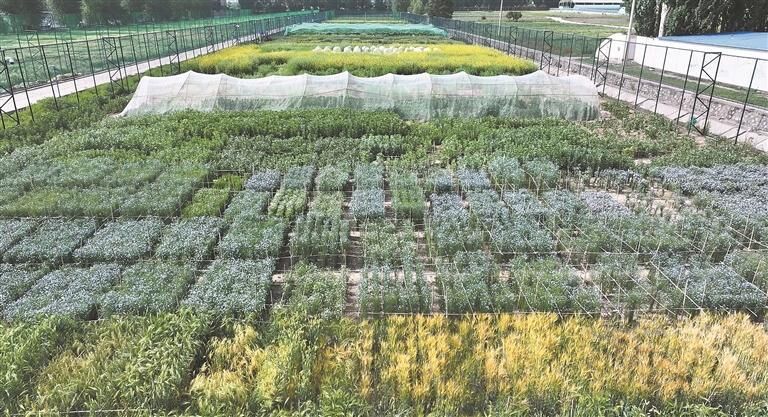 QQ�DƬ20250814061332