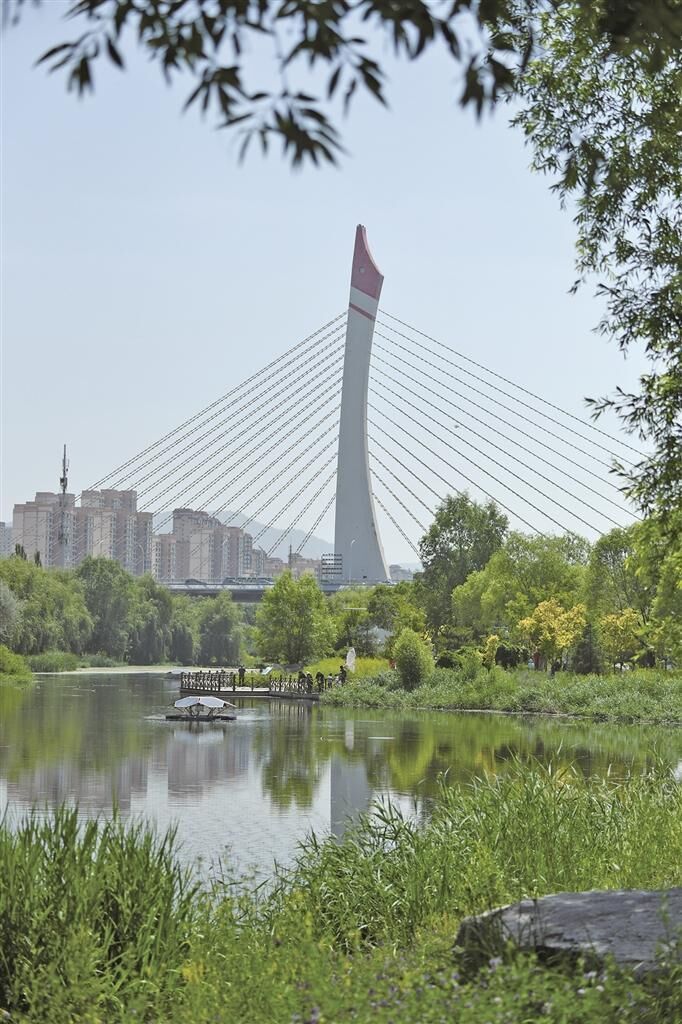 QQ�DƬ20250814064844