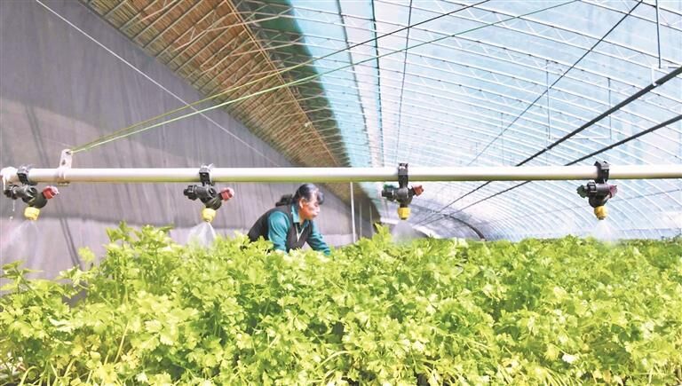 QQ�DƬ20250816055728