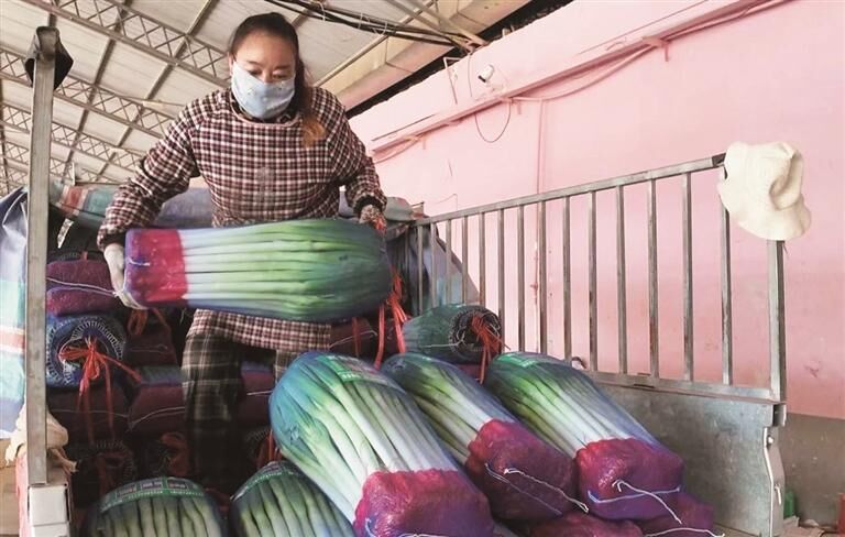 QQ�DƬ20250820062832