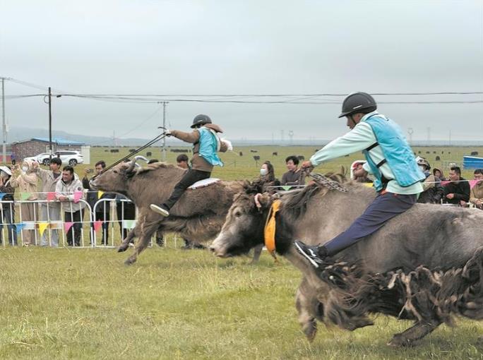 ���������@���������κή��������ӡ�