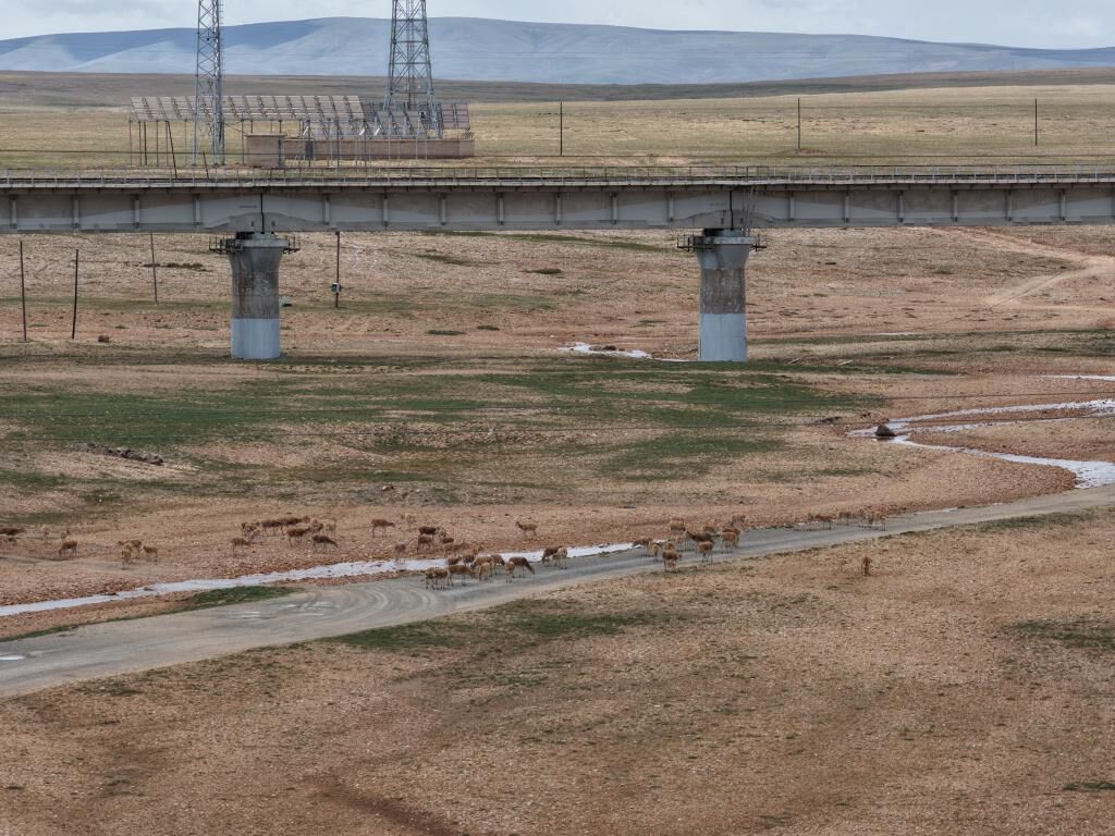 �ɿ�����������w��a(ch��n)�м��M(j��n)��β