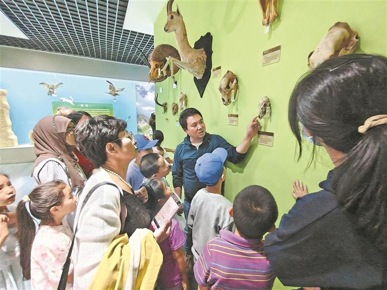 ���߲ʹ����n�á� �c(di��n)���_������