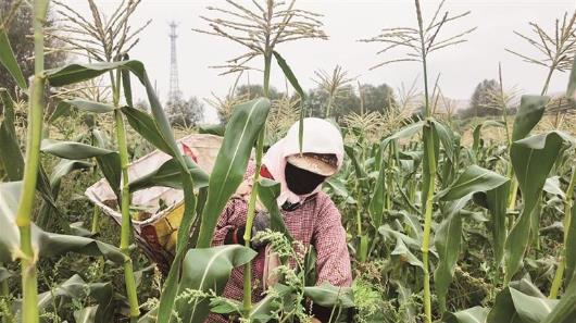 ���������Ѕ^�ٮ��rʳ���ד��r����