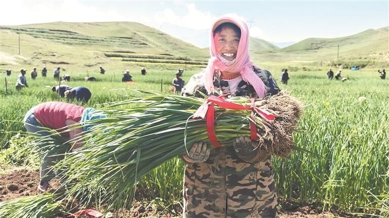 QQ�DƬ20250828053832