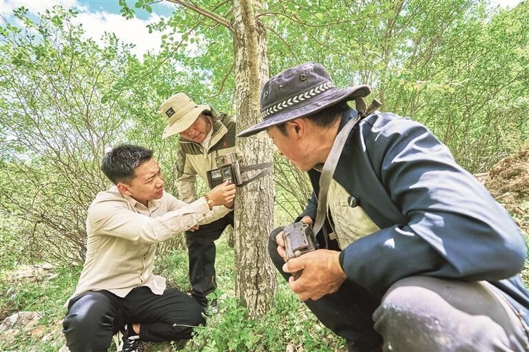 QQ�DƬ20250828064409