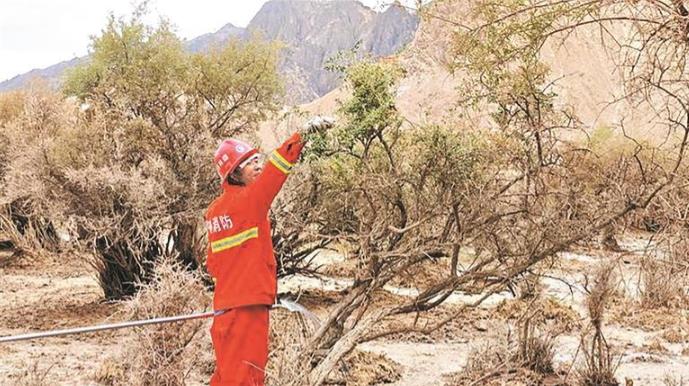 青海海西州:巡護野生枸杞林 筑牢生態屏障