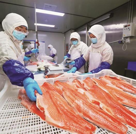 青海出口增速連續6個季度居全國第一位 “青字號”揚帆出海背后的成功密碼