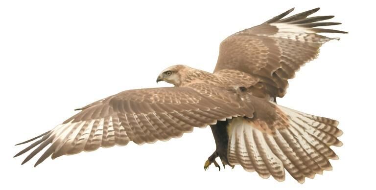 QQ�DƬ20250903055955