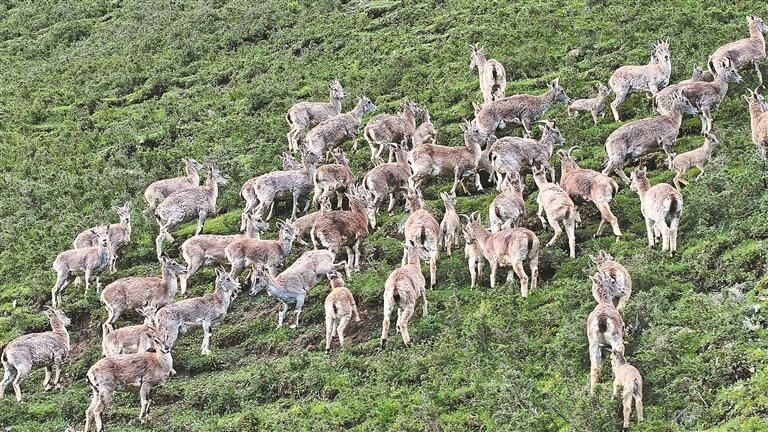 QQ�DƬ20250903060817