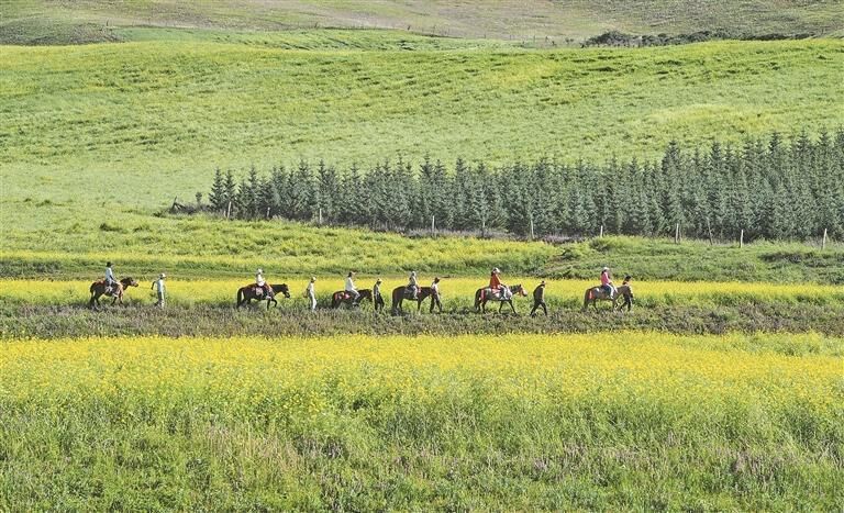 QQ�DƬ20250903060832