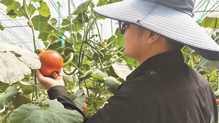 QQ�DƬ20250905061259