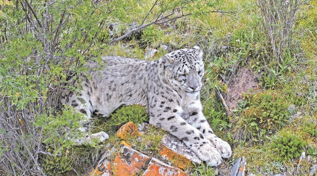 �o�ֆT���Ľ����cѩ����4������