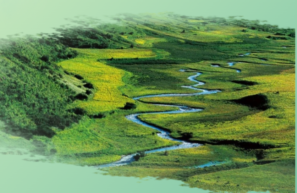 ��SVG�L�D��ʮ���׃������Դ���ҹ��@�����B����