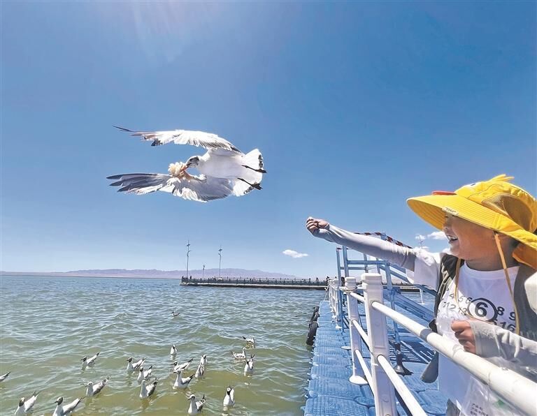 QQ�DƬ20250911060647