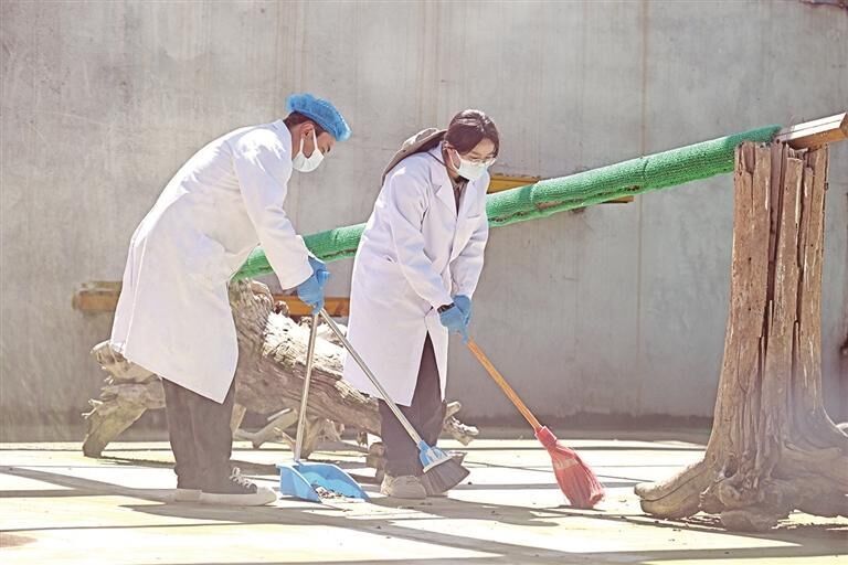 QQ�DƬ20250911063029