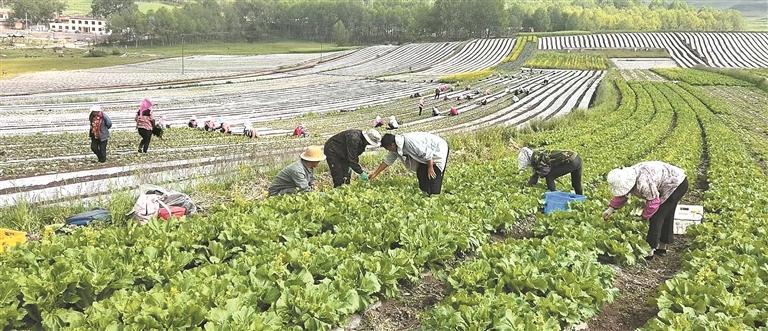 ���r�� ������ ���I�����|���lչ�{���С��ຣ�����㡱�����׳�ȫ���ı���