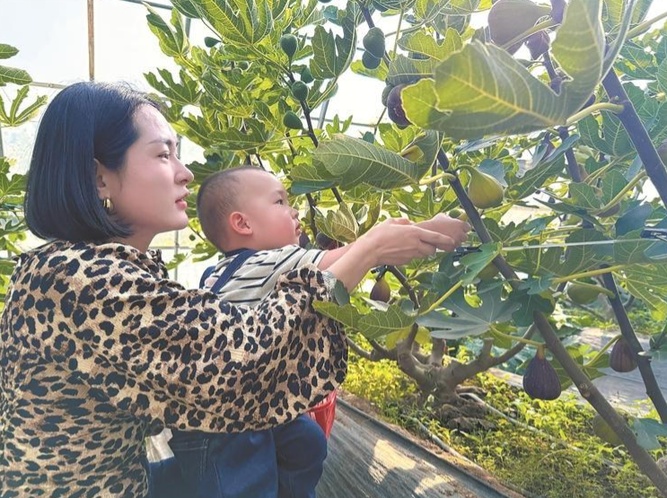 ����˯�������؟��l���C�Y�����¸�����